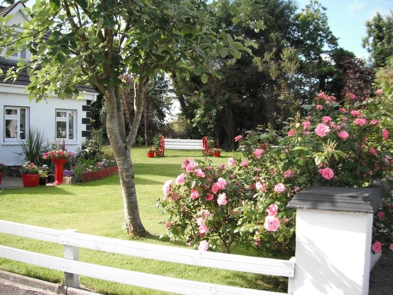 Briar Lodge Bunratty Exterior foto